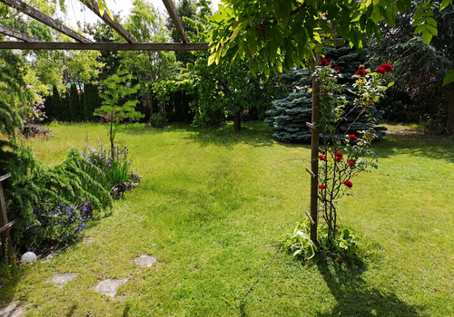 Blick von der Terrasse 1