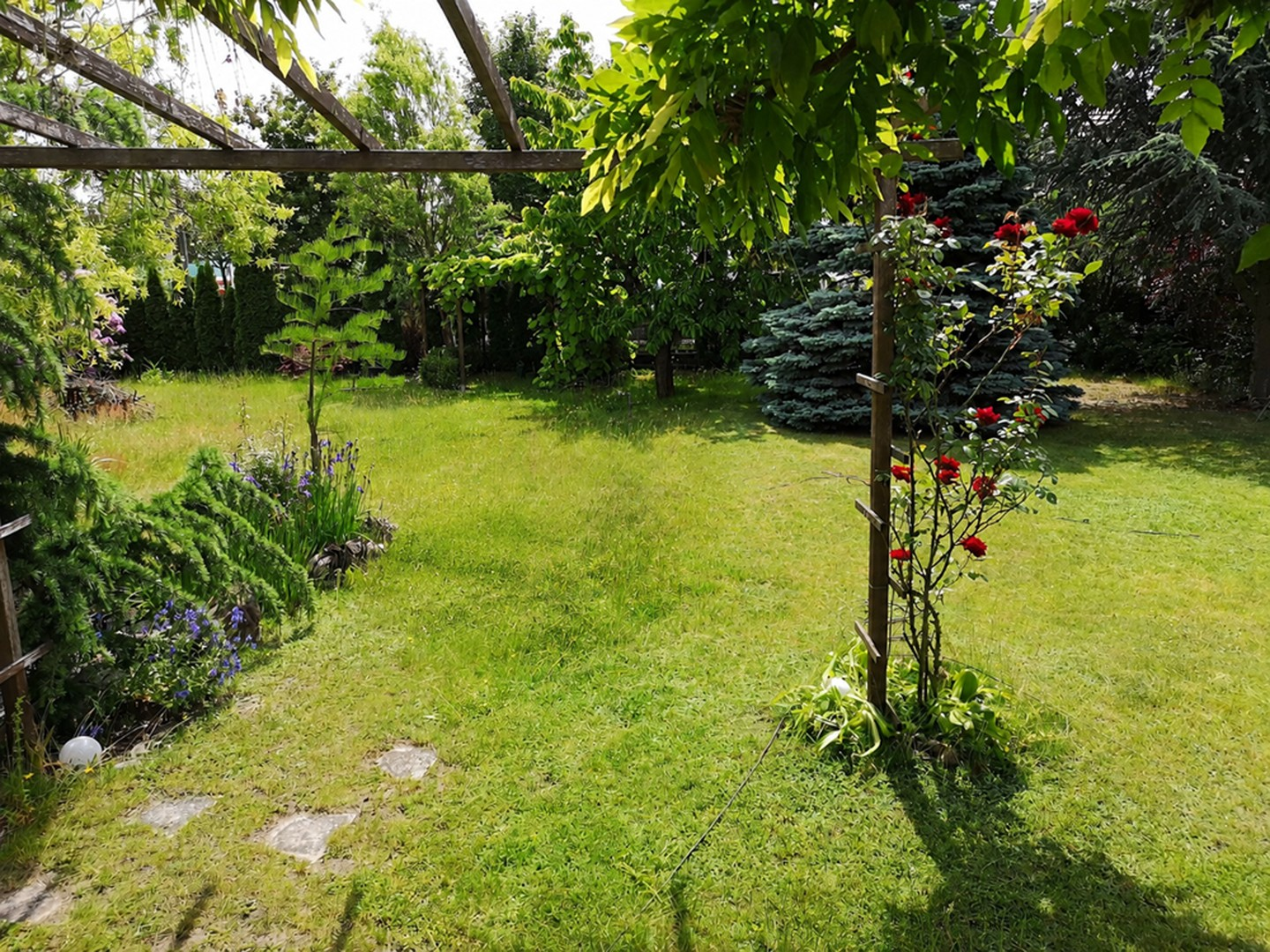 Blick von der Terrasse 1