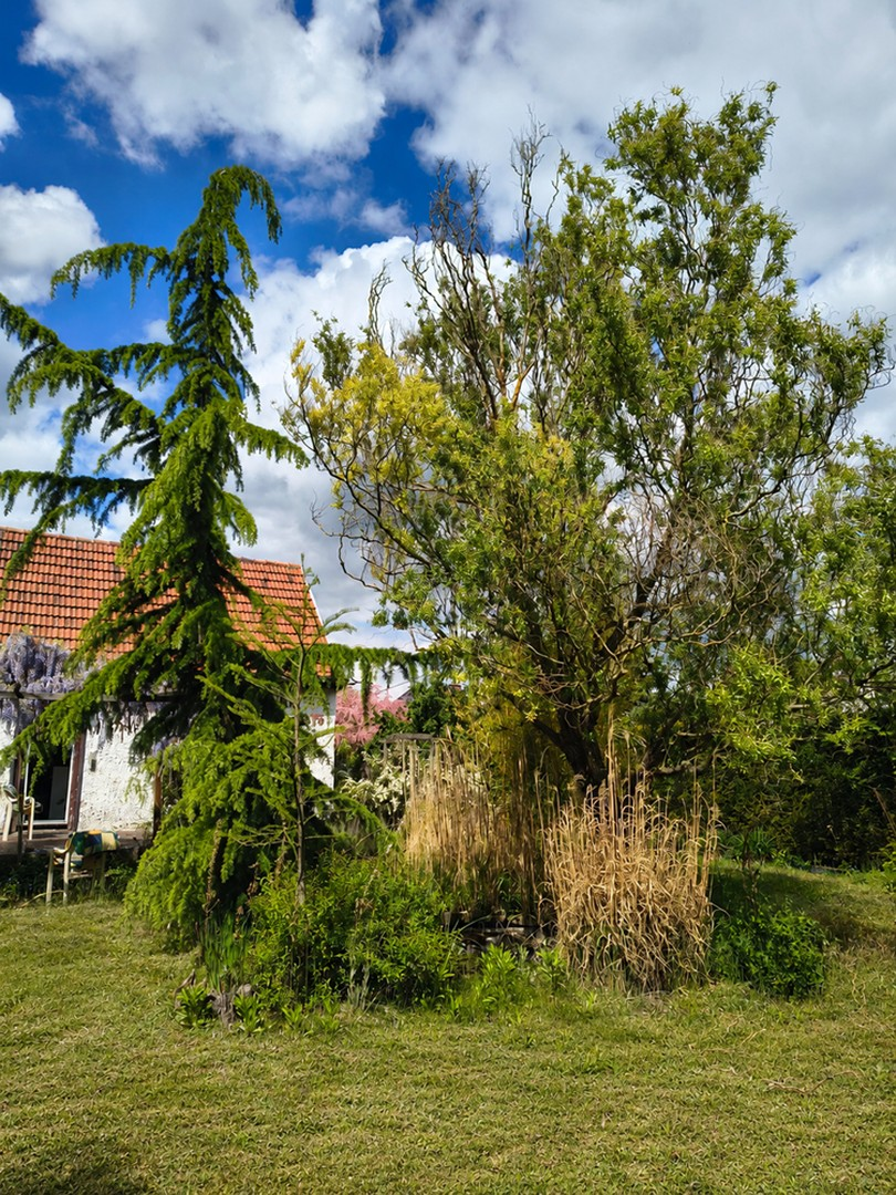 Garten 1