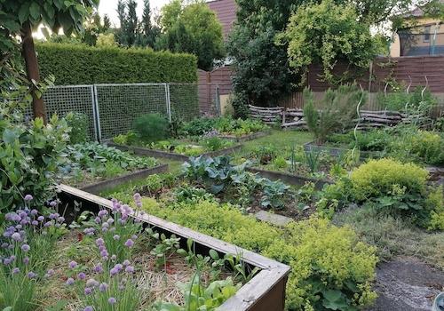 Gemüsegarten
