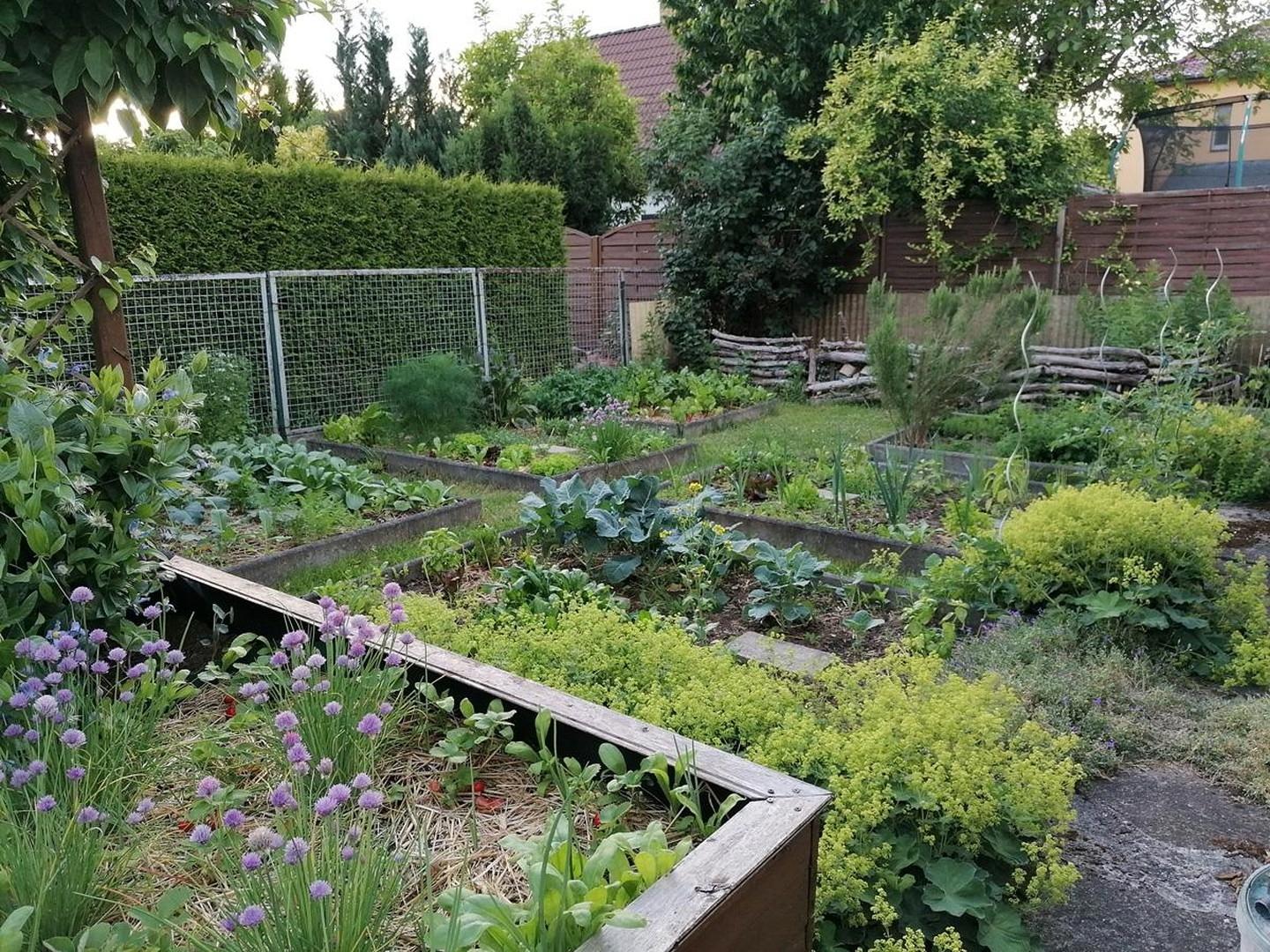 Gemüsegarten