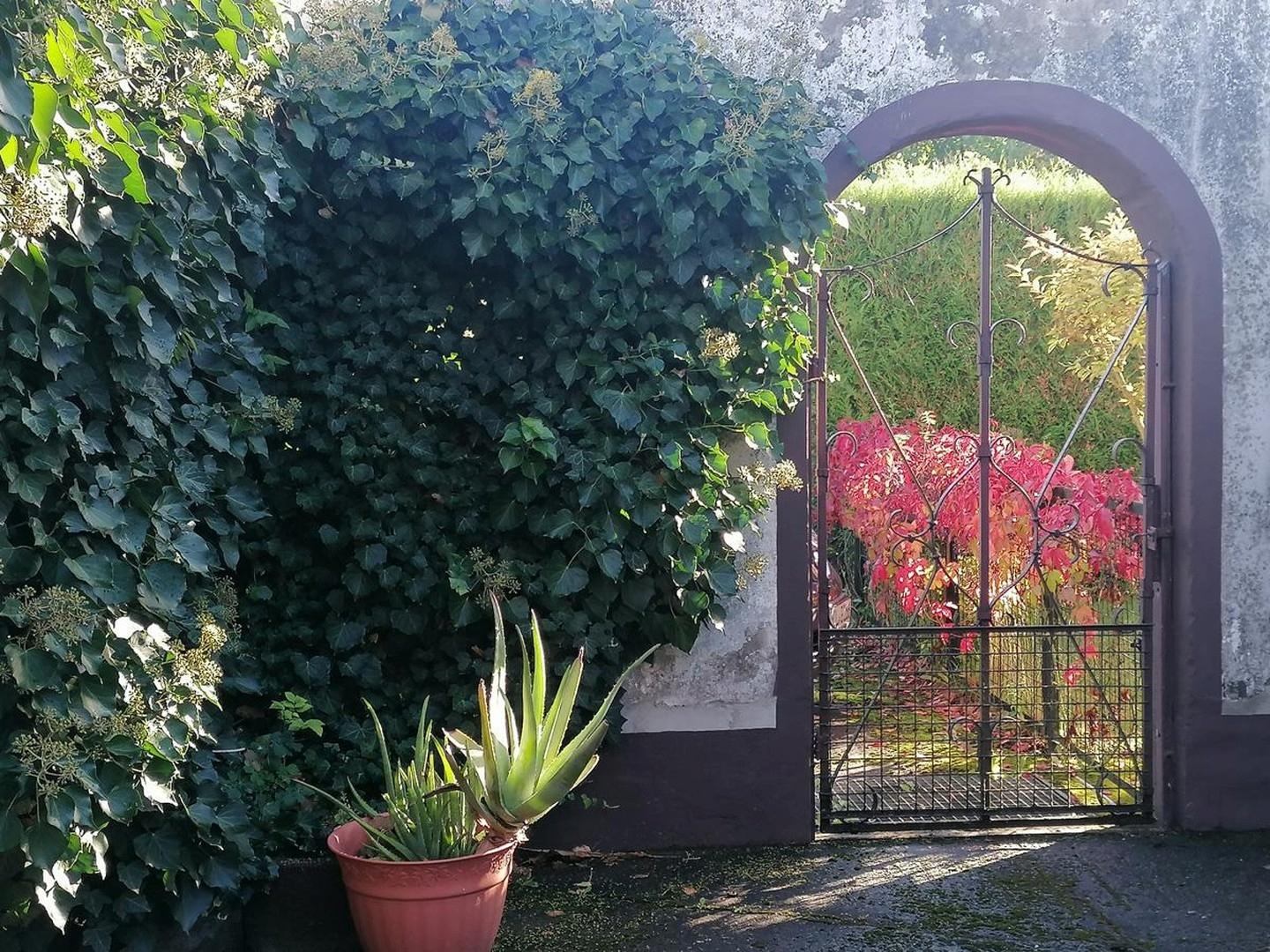 Innenhof Blick zum Hof