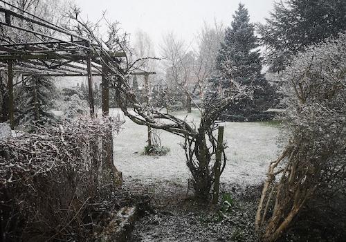 Garten im Winter