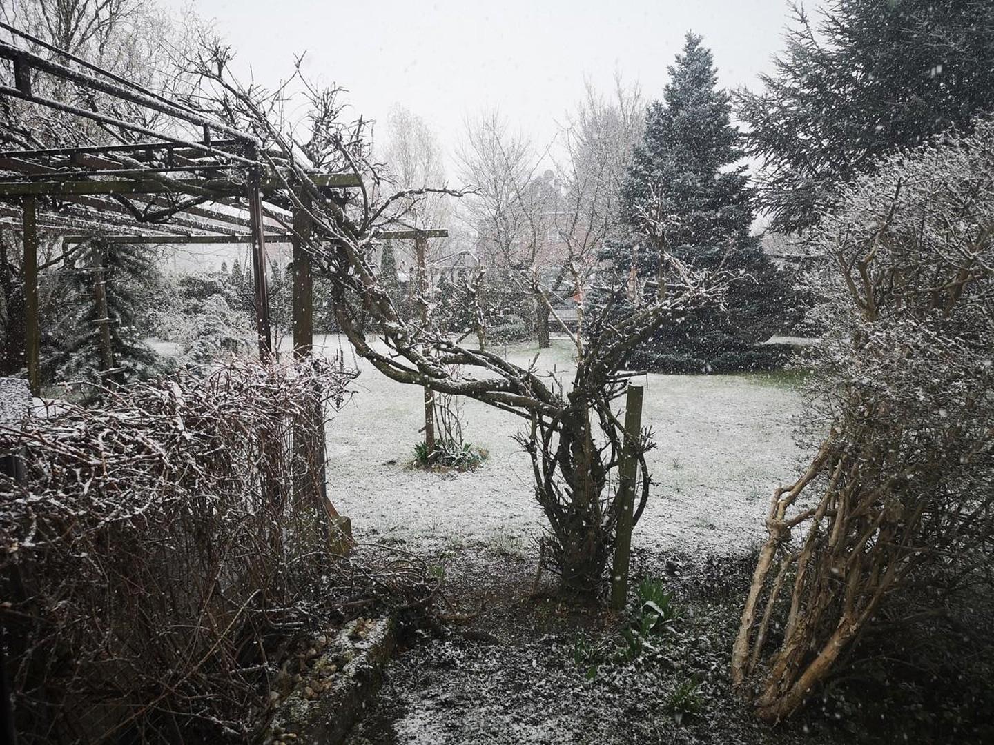 Garten im Winter