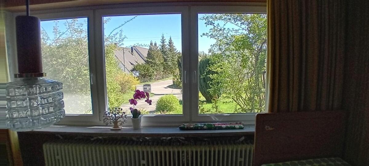Blick nach Süden aus Arb.zimmer 1