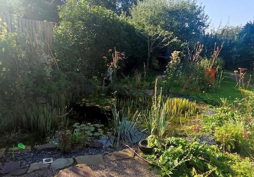 Garten mit Teich