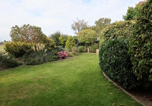 Blick in den Garten