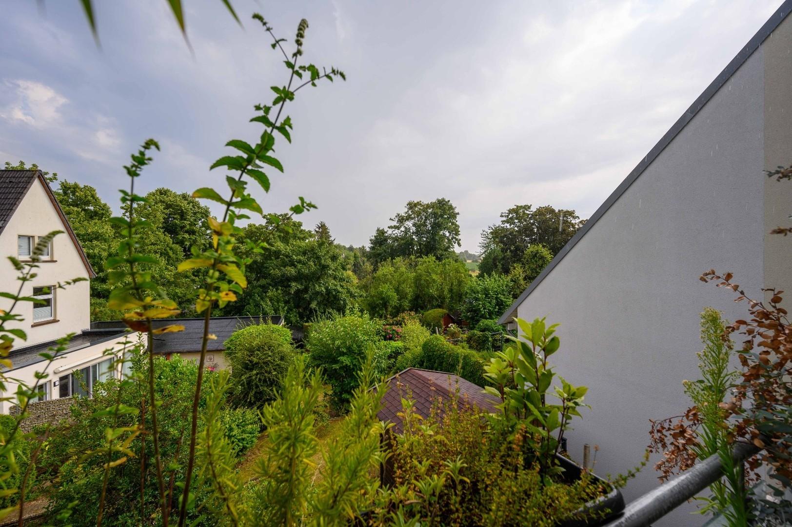 Blick von Loggia ins Grüne
