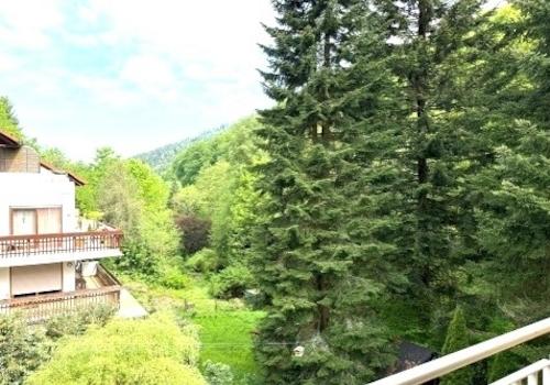 welch eine Aussicht