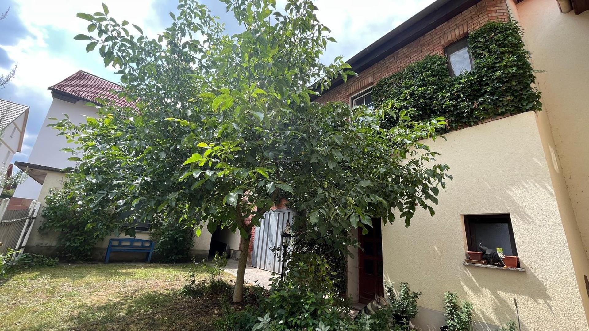 5 - Garten