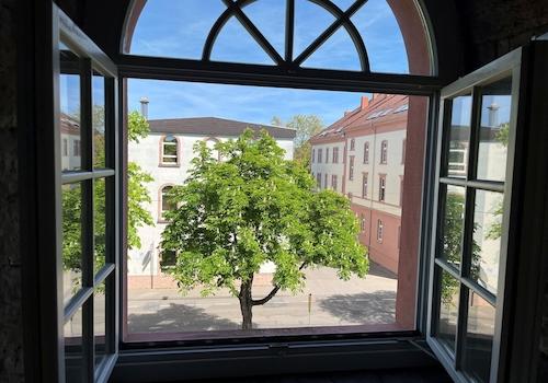 Ausblick
