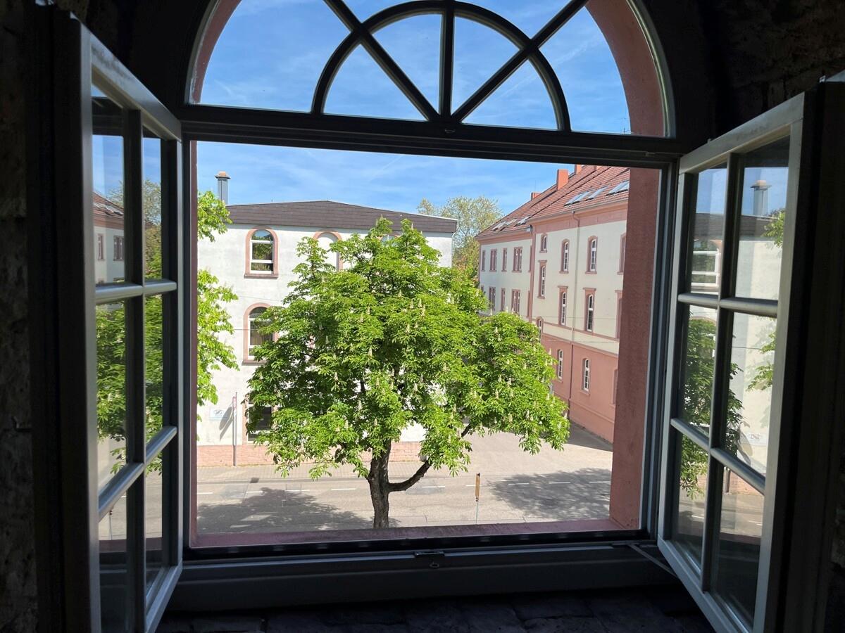 Ausblick