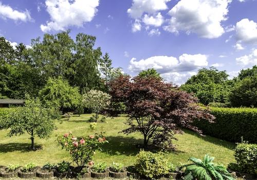 Blick in den Garten vom Balkon