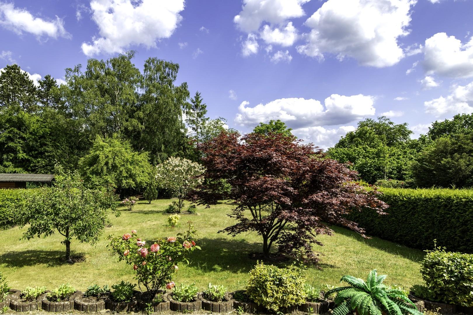 Blick in den Garten vom Balkon