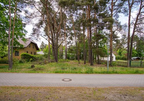 Blick frontal auf das Grudnstück 