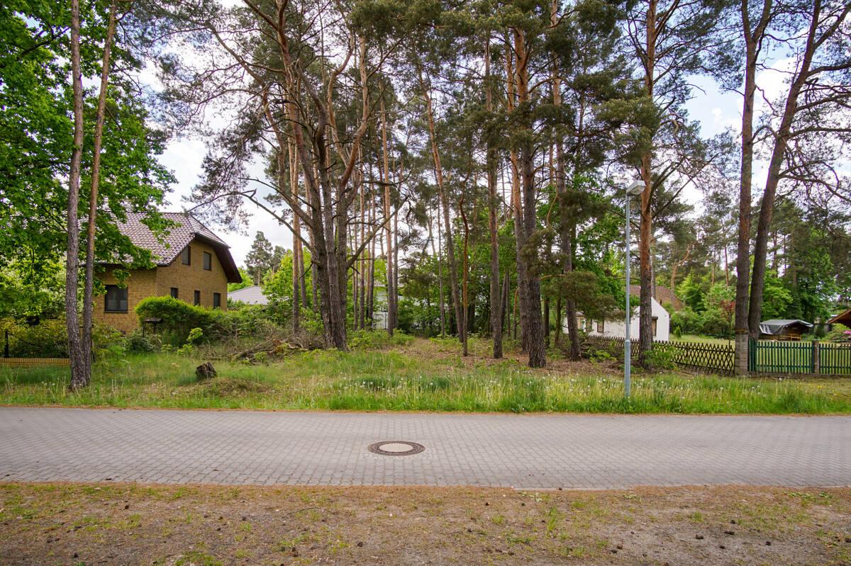 Blick frontal auf das Grudnstück 