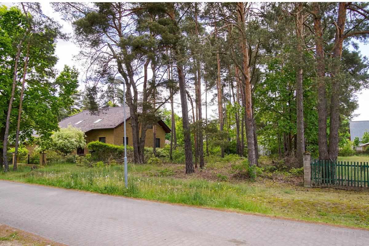 Blick von rechter Straßenseite auf das Grundstück