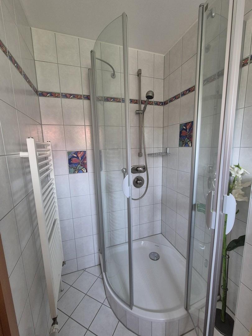 Dusche im GästeWC