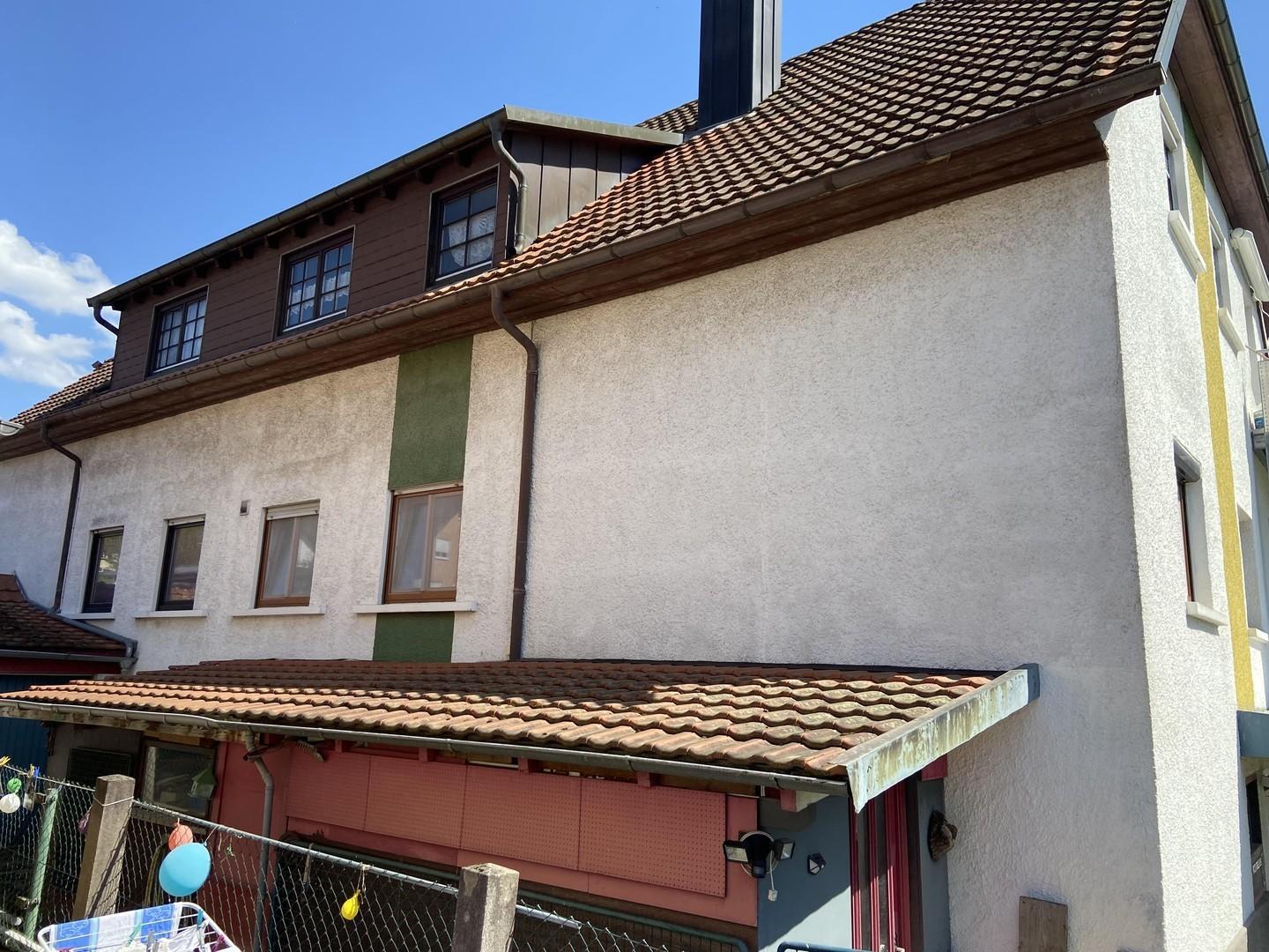 Hinteransicht mit Schuppen