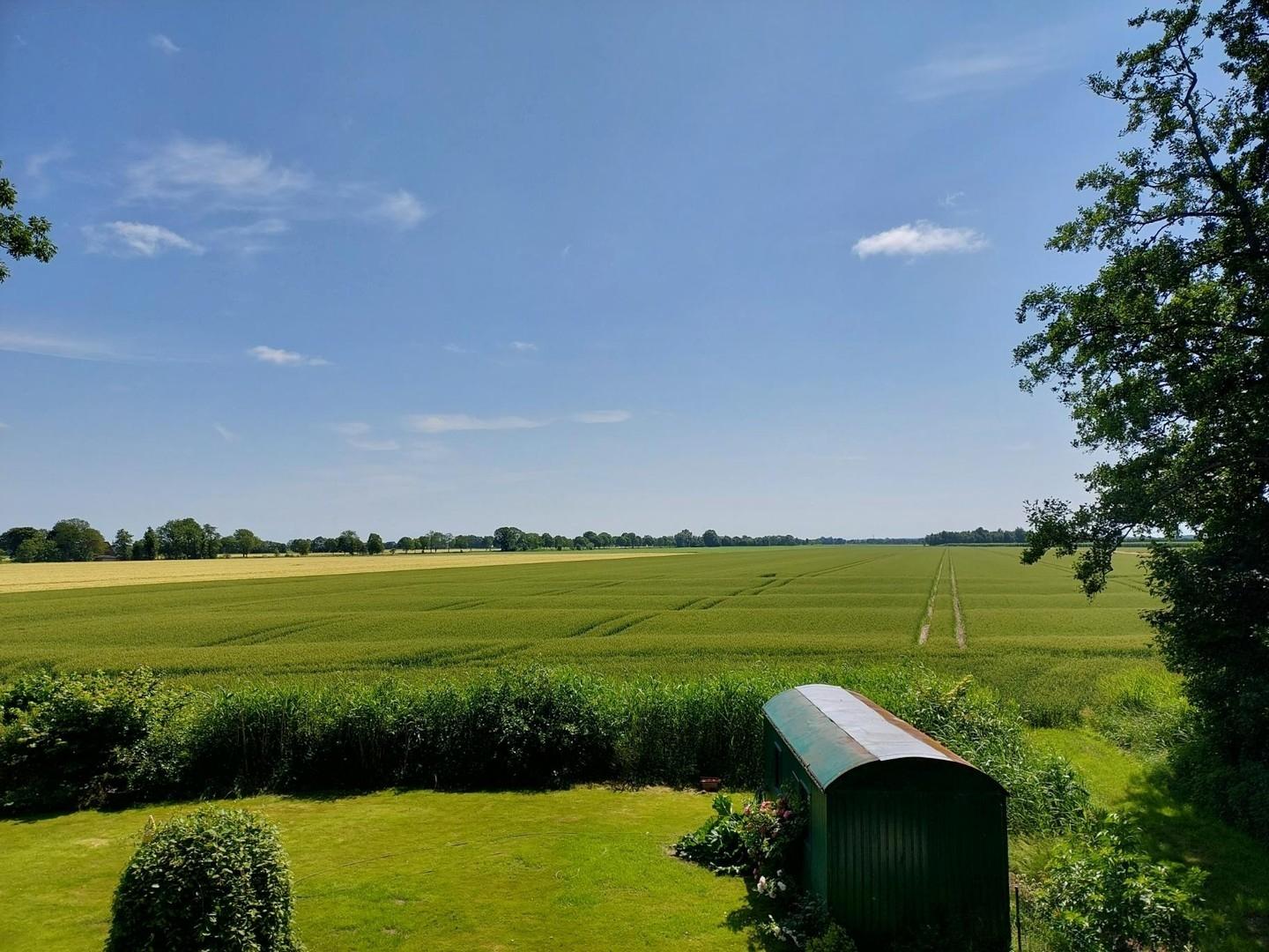 Weitblick