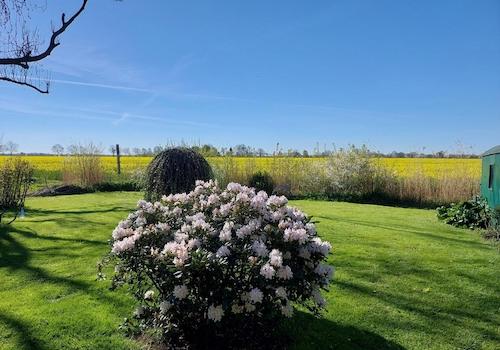 Der Frühling ist da