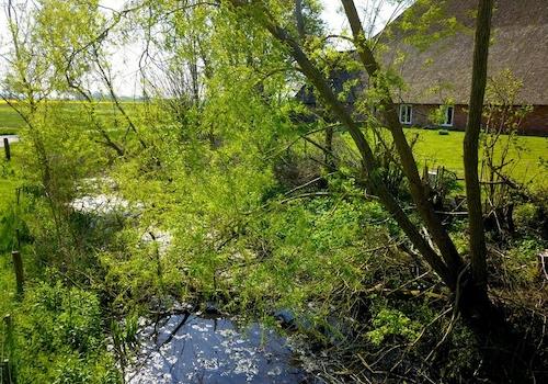 Idyllische Umgebung