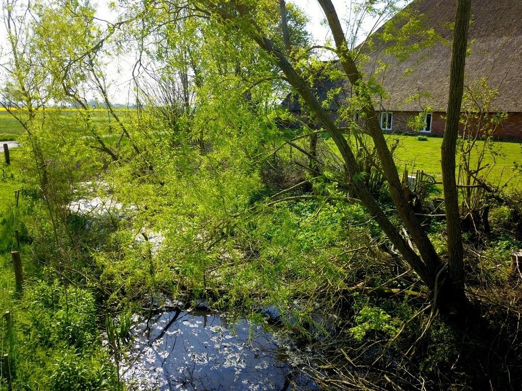 Idyllische Umgebung