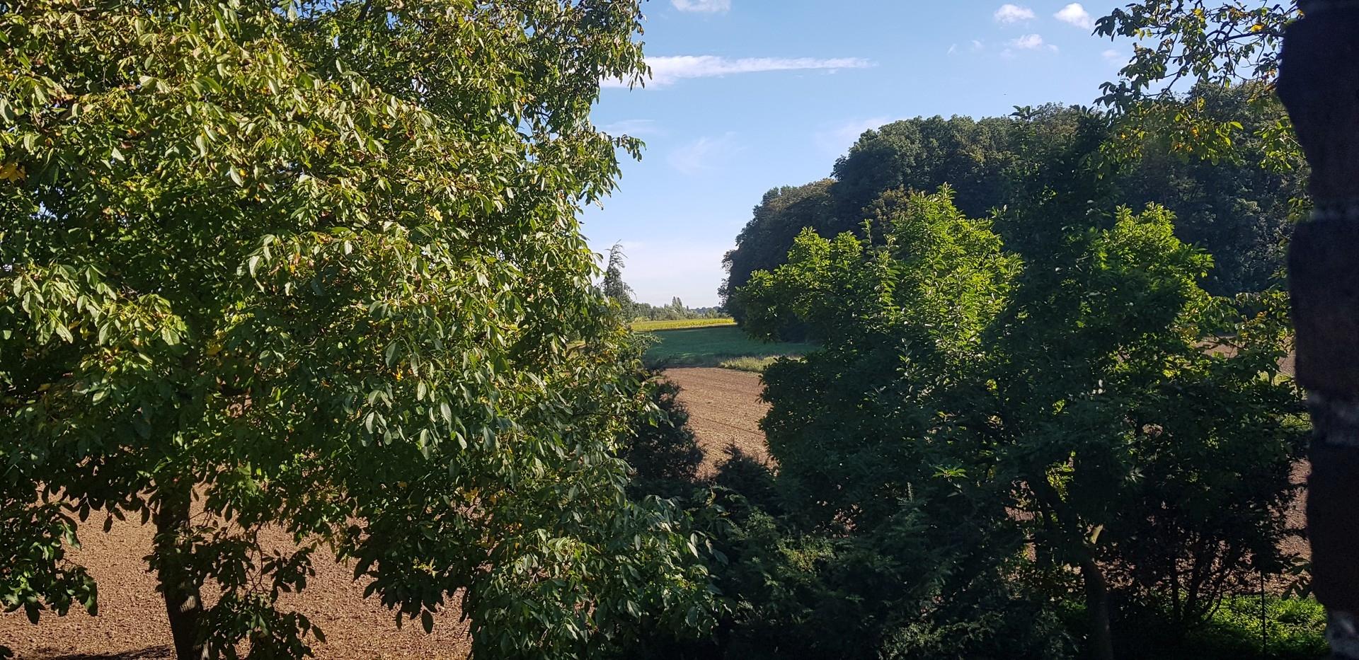 Blick aus Schlafzimmer 