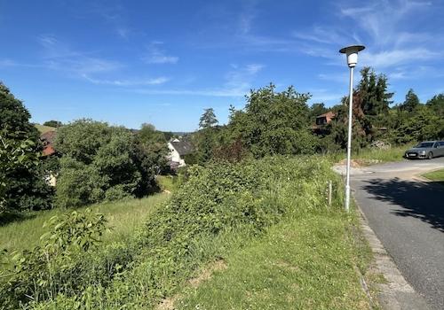 Höhenversatz Straße zum Grundstück