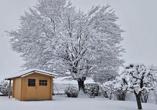 Winterimpression