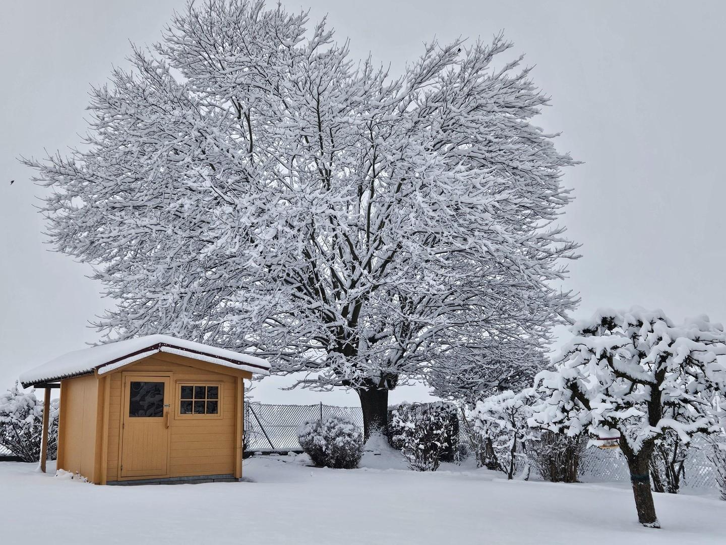 Winterimpression