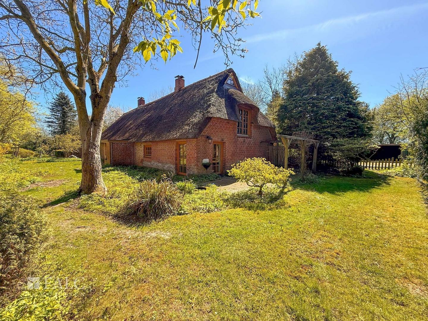 Außenansicht Garten Bild 1