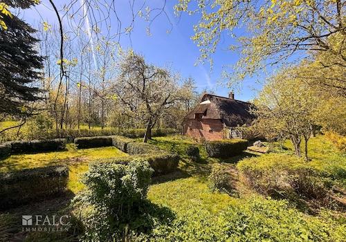 Außenansicht Garten Bild 2