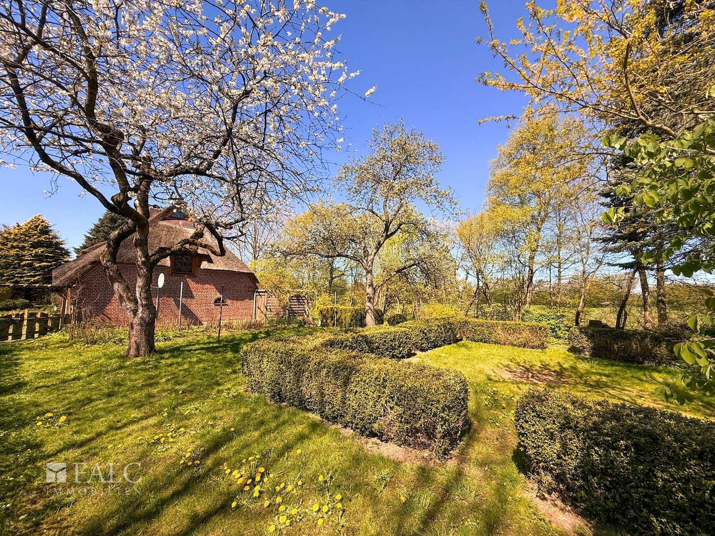 Außenansicht Garten Bild 3