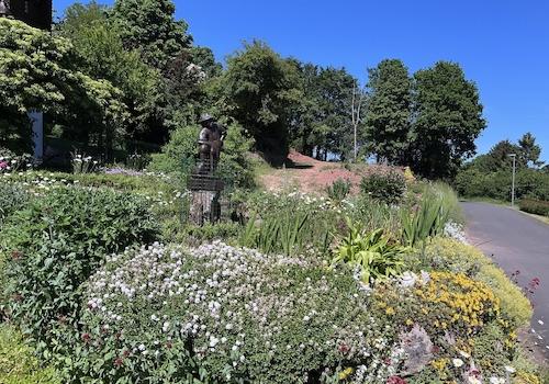 Blumenpracht an der Straße