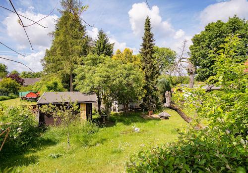 Blick in den Garten 