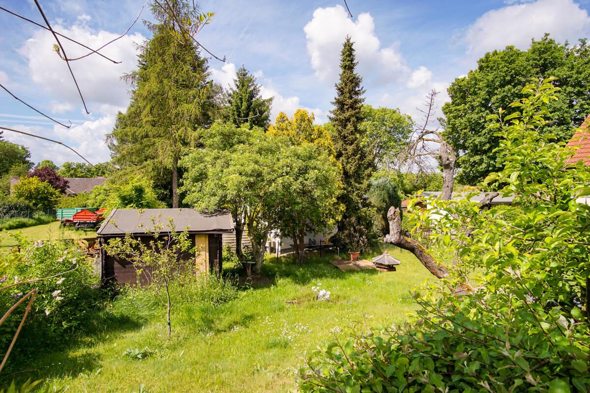 Blick in den Garten 