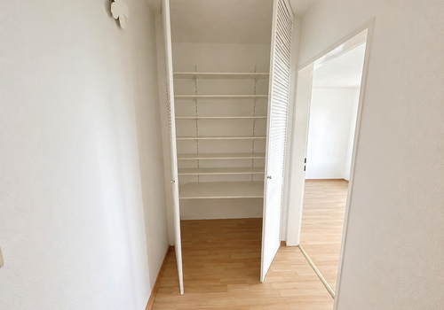Wandschrank im Flur