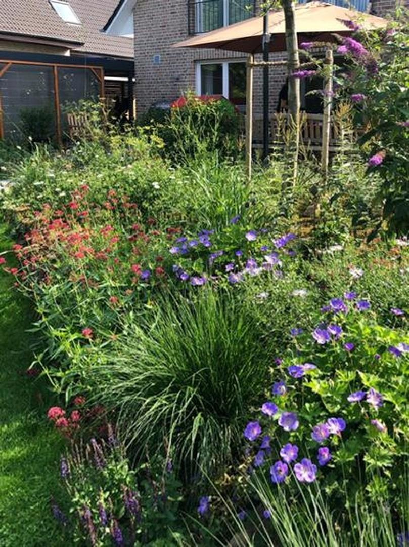 Staudenpracht im Garten