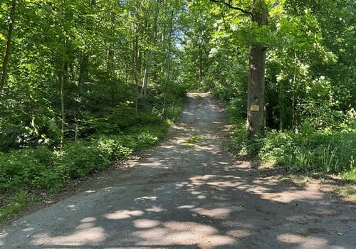 Zufahrt durch den Wald