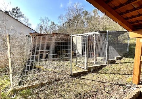 Hunde Garten
