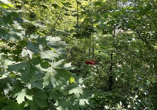 Die große Schaukel