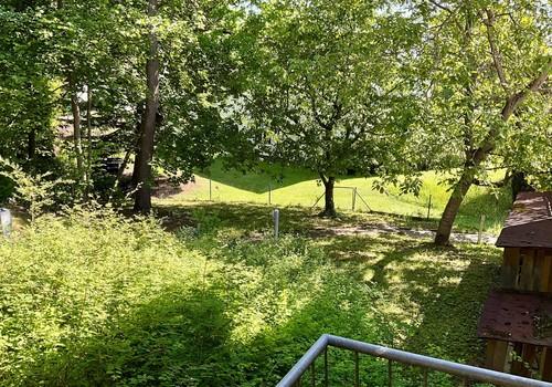 Garten hinter dem Haus