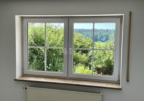 Blick ins Grüne