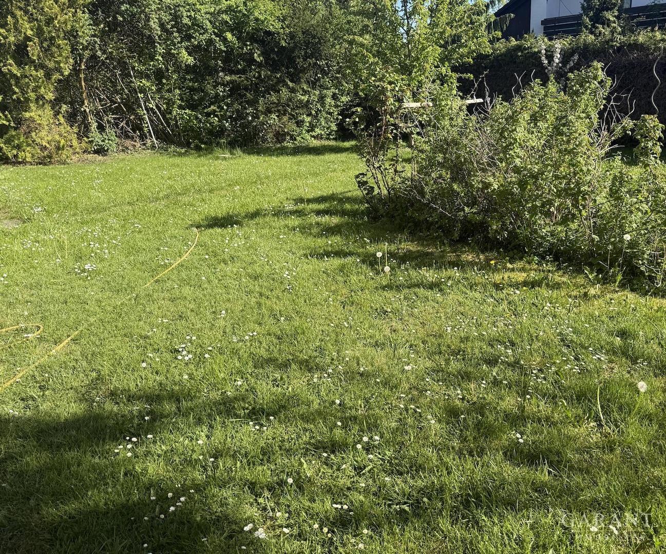 Blick in den Garten
