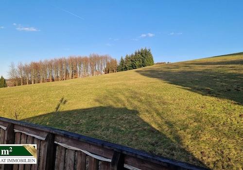 Blick vom Balkon 2 OG