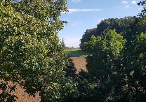 Blick aus Schlafzimmer 