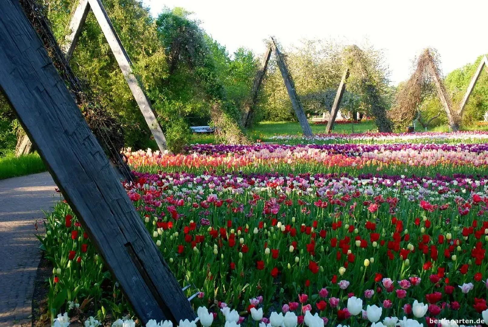 Britzer Garten 