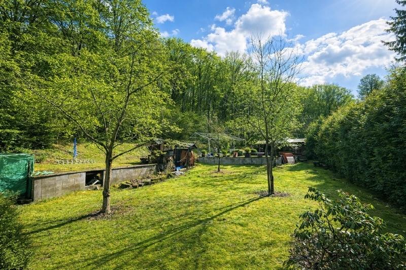 Blick in den Garten