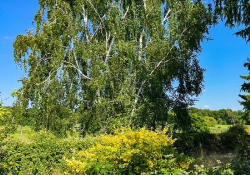Ein letzter Blick - zur Großen Röder